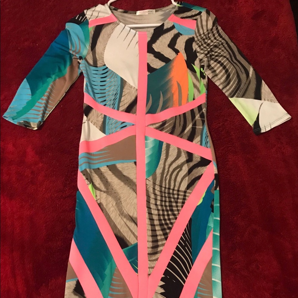 Neon/Animal Print Fitted Dress